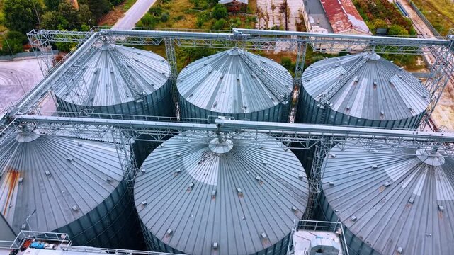 Top view of metal grain silos. Conical steel roof structures are connected by overhead catwalks in daylight.