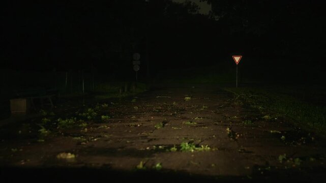 Flooded nighttime road intersection with traffic signs and scattered leaves after heavy rain