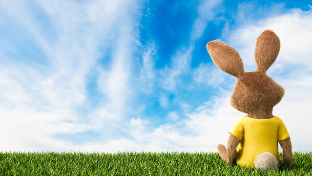 Back view of toy bunny sitting on a meadow in front of cloudy sky