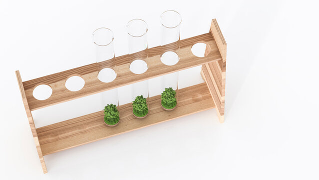Small trees in test tube rack, illustration