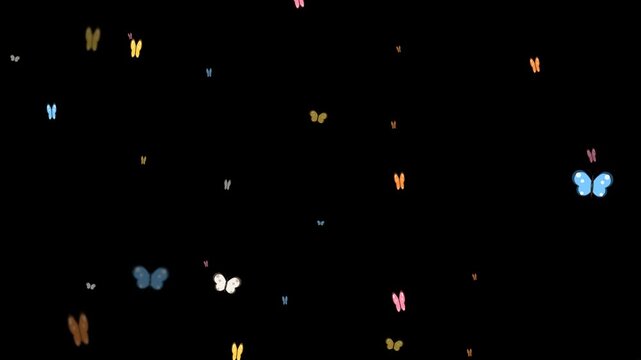 Butterflies with colorful wings on black background. 2d animation