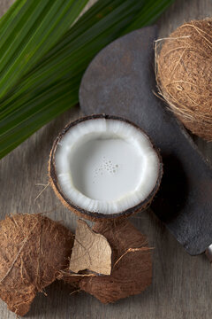 Half coconut with coconut milk and sickle, close up