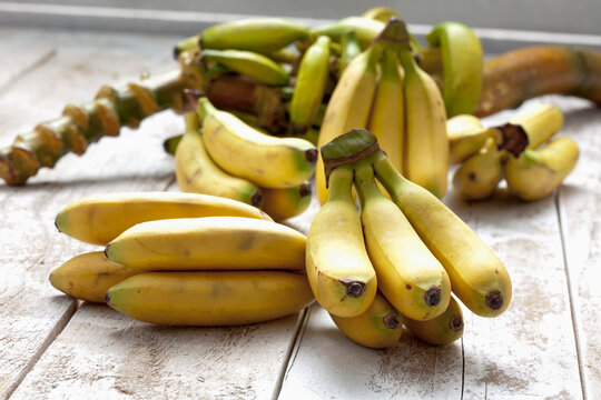 Banana tree (Musa paradisiaca) on white wooden table, studio shot