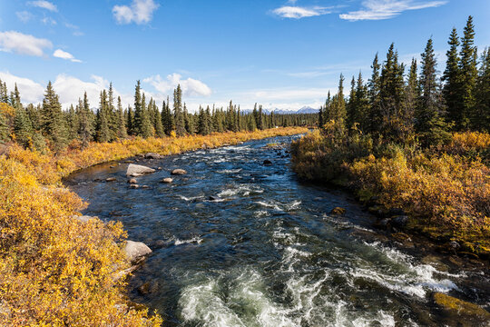USA, Alaska, View of creek and landscape in autumn