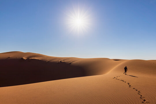 Africa, Namibia, Namib desert, Naukluft National Park, tourist walking on dune