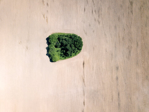 Russia, Central Russia, Aerial view of field