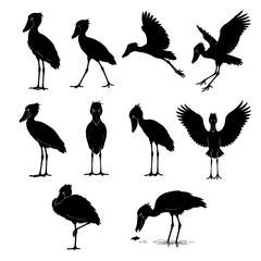 Naklejka premium set of birds