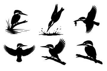 Fototapeta premium set of birds