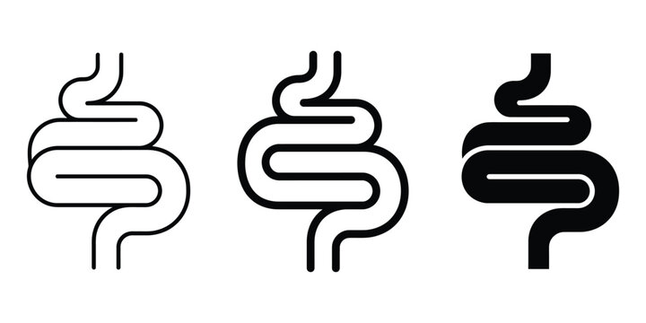 Intestine icon line art vector, bold outline and silhouette design