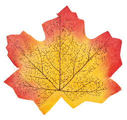Autumn maple leaf in red and yellow gradient with printed veins on white © sawa