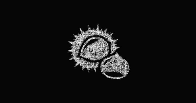Sketch chestnut icon animation - smooth progressive reveal