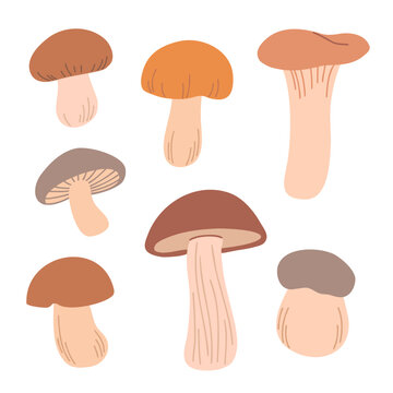 Clip art collection of edible fungus isolated on a white background. Flat vector illustration set with different types of mushrooms. Autumn design for stickers, posters, stationery, or print designs.