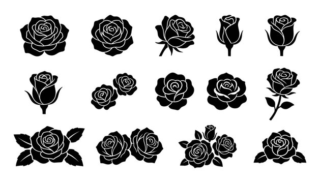 Roses Set with Various Bloom Stages and Leaf Arrangements Featuring Flower