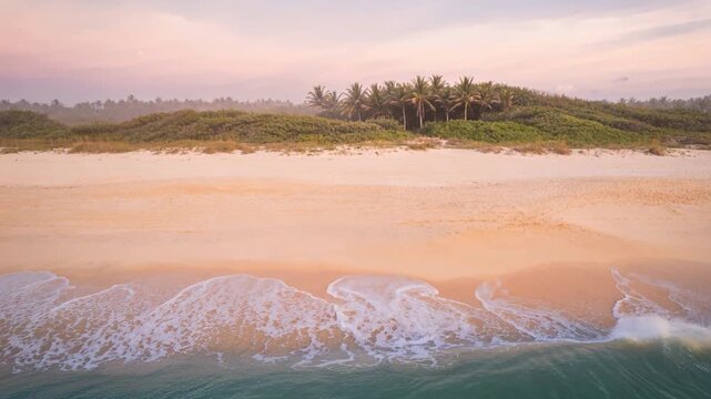 Rolling swell pushing shore surf advancing and receding on sandy beach at sunrise, with palms