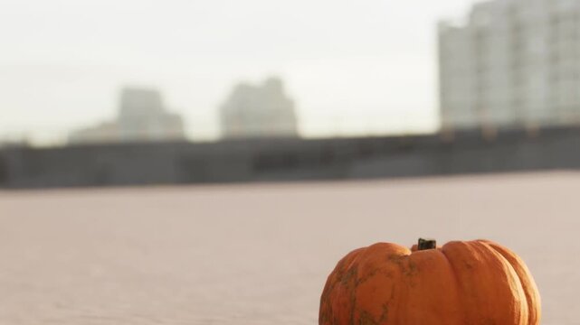 A pumpkin sits on a sandy area with a blurred view of buildings in the background. The scene shows a clear day with sunlight shining down on the pumpkin.