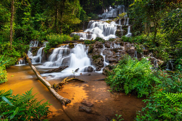 Obraz premium Beautiful multi-tiered Pha Charoen Waterfall flowing through a lush tropical rainforest stream in Namtok Pha Charoen National Park, Phop Phra District, Tak Province, Thailand.