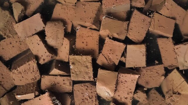 High-angle macro shot of congealed chicken blood curd cut into bite-sized cubes. The brown, porous blocks are submerged in a clear broth or water, revealing a spongy texture. This authentic ingredient