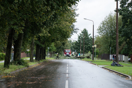 Riga, Latvia - 23 August 2026: View of a fallen tree blocking a road with firefighters working at the scene.