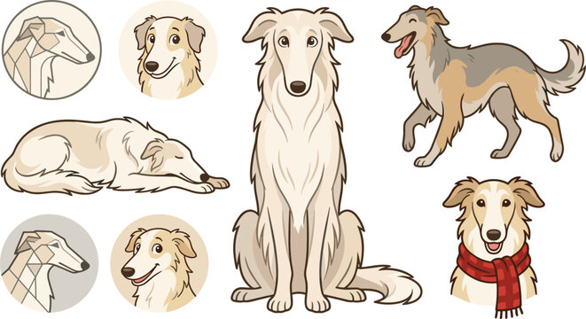 Borzoi and silken windhound dog vector collection featuring cute long haired sighthound breed sitting sleeping walking and avatar portraits set