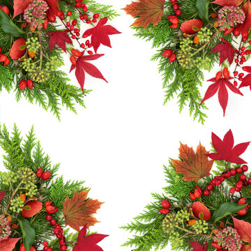 Vivid Autumn leaf colors and red berry background border on white. Colorful nature design for harvest and Samhain festival. Greeting card.