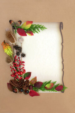 Symbols of Autumn, colorful vivid leaves, red berry fruit, flora on faded paper scroll on brown background. Fall season warm hues. Copy space. 