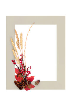 Autumn zen design red berries leaves grasses background border on white gray frame. Vivid Fall colors minimal abstract composition. 