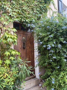 Porte en bois entour&eacute;e de verdure et de fleurs dans un jardin au charme authentique