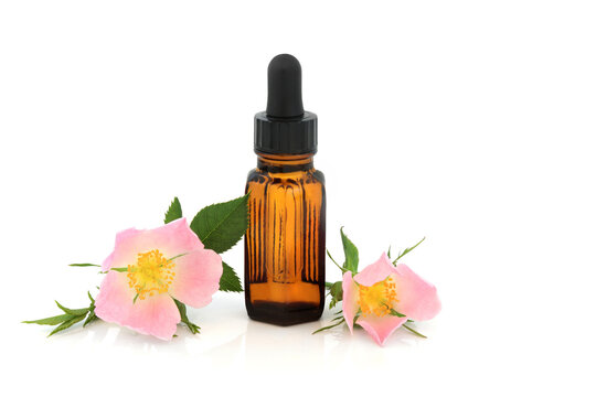 Wild pink dog rose flower aromatherapy essential oil bottle on white background. Used in natural herbal medicine, treats various health conditions. 