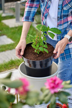 Woman repotting plant into larger pot while gardening outdoors