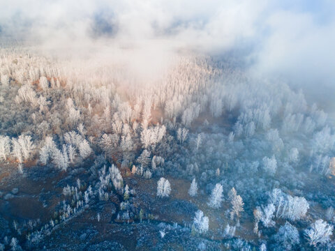 Frost-covered trees in autumn forest at foggy sunrise. Aerial drone view. Clouds over the mountains and forest.