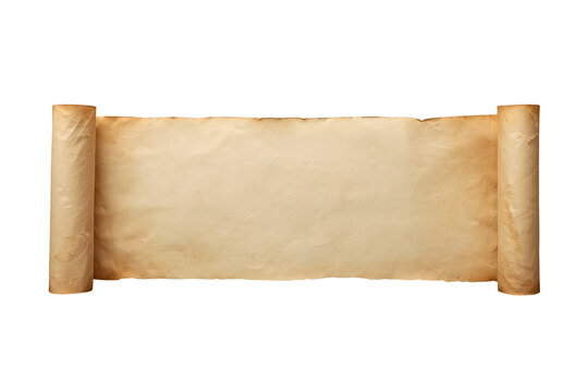 Blank vintage parchment scroll with curled ends