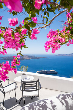 White architecture in Santorini island, Greece. Beautiful terrace with blooming pink flowers.