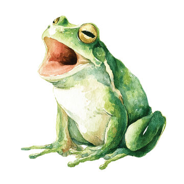 Green Frog Sitting and Croaking Loudly.