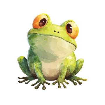 Green Frog Sitting on White Background 5.