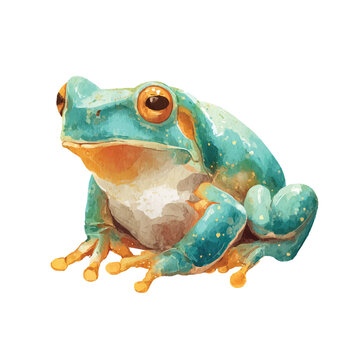 Green Frog Sitting on White Background 8.