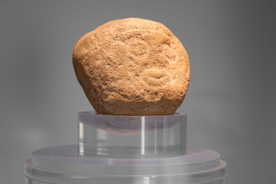 Close up view of the iconic Mesolithic stone head idol sculpture carved from a river boulder exhibited at the Lepenski Vir archaeological museum in Iron Gate National Park, Serbia. 20.07.2026