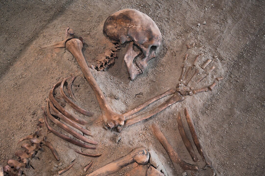 Close up view of an ancient prehistoric human skeleton in a grave bed during archaeological excavation at the Lepenski Vir site in Iron Gate National Park, Serbia. 20.07.2026