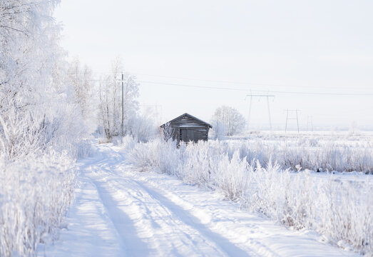country road in winter