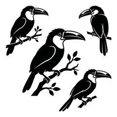 Naklejka premium black and white silhouette vector set of Emerald Toucanet