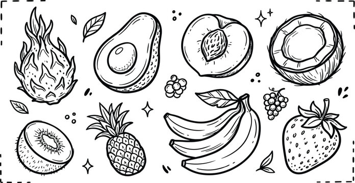 Vector collection of black line art tropical fruit doodles including dragon fruit avocado peach coconut kiwi pineapple banana and strawberry icons