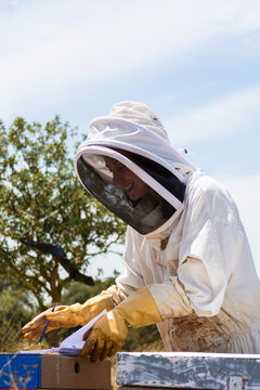 Beekeeper woman managing apiary hives recording information