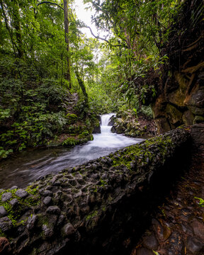 View of the lush forest and a small waterfall at Parque Nacional Barranca del Cupatitzio with a mossy stone wall in the foreground in Uruapan, Michoacan, Mexico.