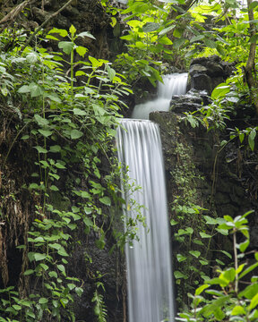 View of the cascading waterfall at Parque Nacional Barranca del Cupatitzio surrounded by lush green vegetation and mossy rocks in Uruapan, Michoacan, Mexico.