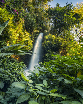 View of the waterfall at Parque Nacional Barranca del Cupatitzio surrounded by lush green tropical foliage and dense forest in Uruapan, Michoacan, Mexico.