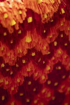 View of the intricate red and yellow thread patterns of a traditional Ahuiran rebozo textile in Ahuiran, Michoacan, Mexico.