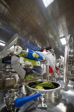 View of industrial avocado processing machinery with fresh green pulp being prepared by workers in white uniforms at a guacamole factory in Uruapan, Michoacan, Mexico.