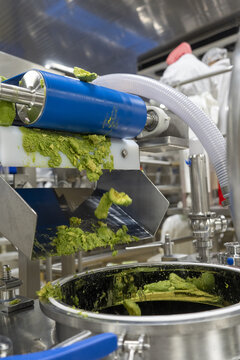 View of avocado processing machinery in a guacamole factory with green pulp being processed through stainless steel equipment in an industrial facility in Uruapan, Michoacan, Mexico.