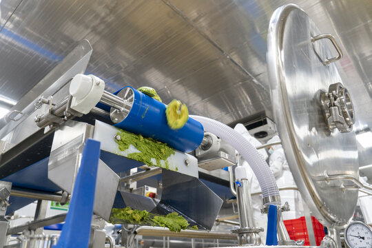 View of avocado processing machinery with mashed guacamole on a conveyor belt inside a factory in Uruapan, Michoacan, Mexico.