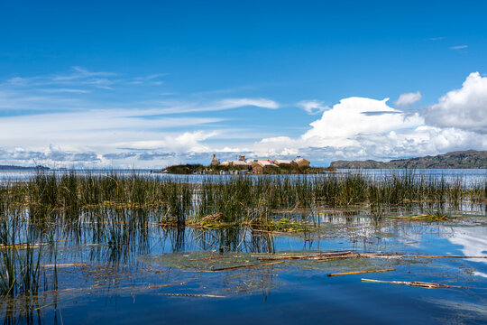 Totora reeds in front of the floating island Uros Titino, Peru