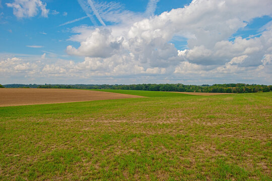 Fields and trees in a green hilly grassy landscape under a blue cloudy sky in sunlight in summer, Voeren, Limburg, Belgium, August, 2026